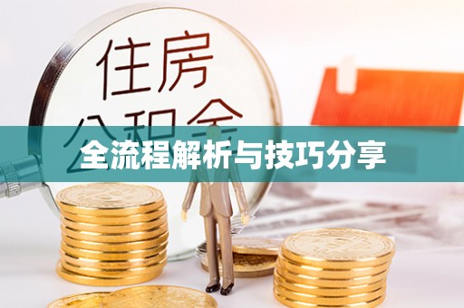 江达全流程解析与技巧分享